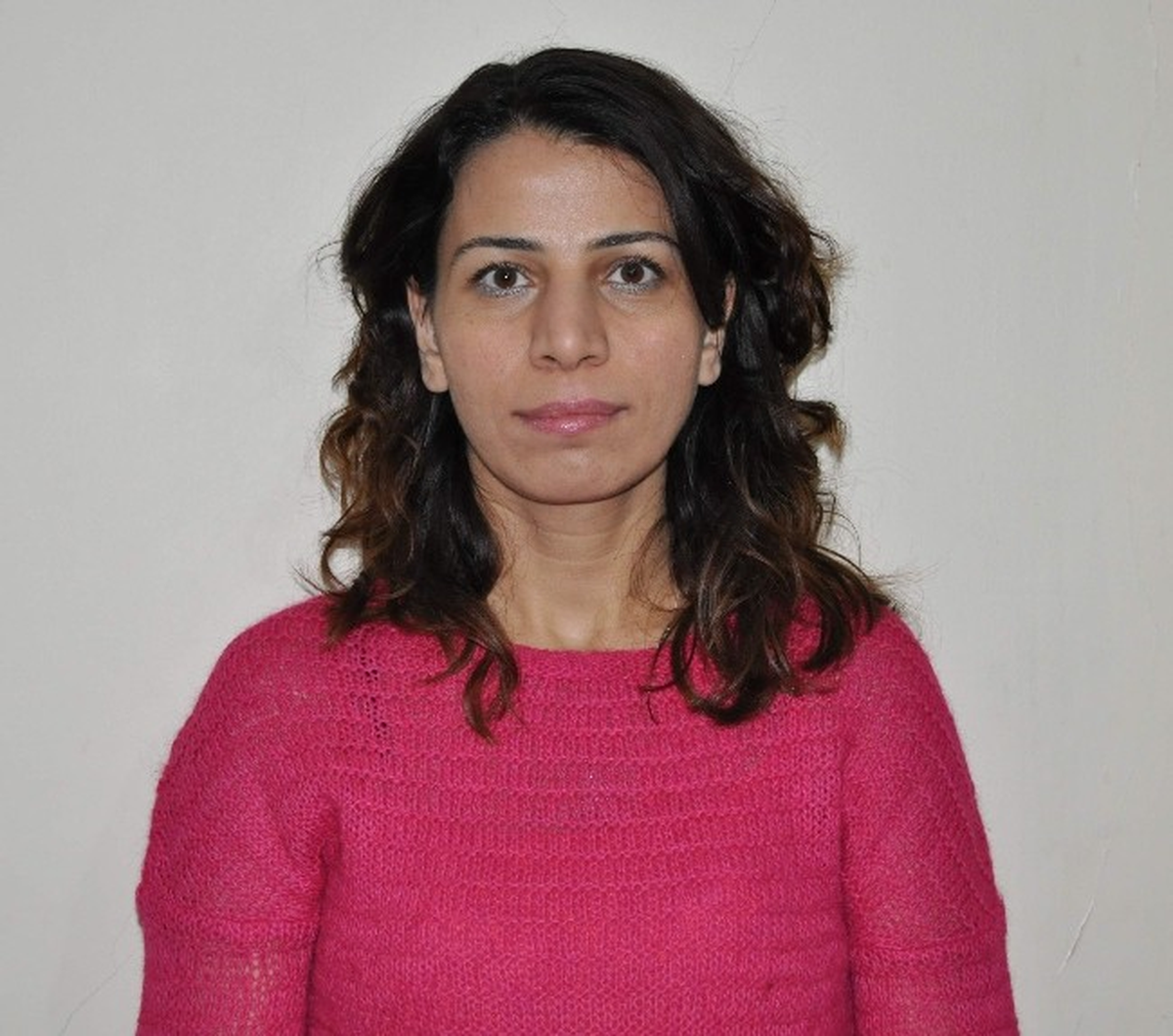 İş ve Meslek Danışmanı, İş İstiyor