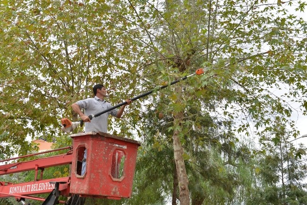 Konyaaltı\'nda Sokak ve Parklara Kış Bakımı
