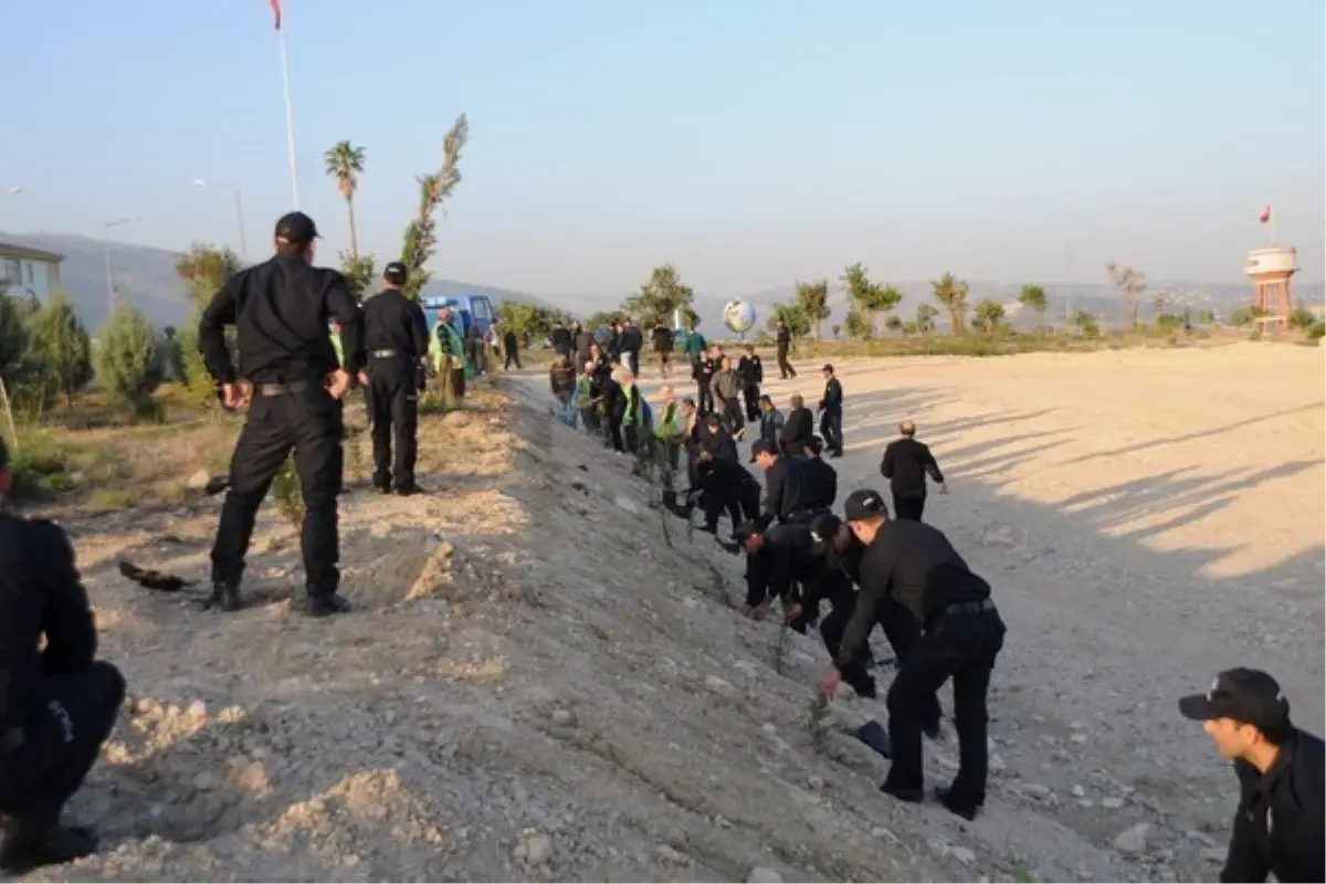 Orman Bölge Müdürlüğü ile Pomem Fidan Dikti