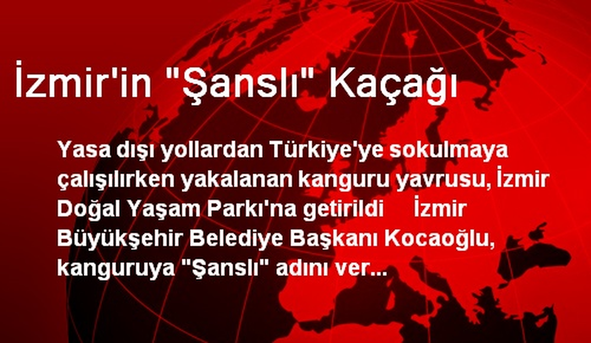 İzmir\'in "Şanslı" Kaçağı