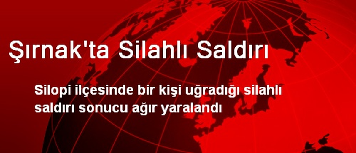 Şırnak\'ta Silahlı Saldırı
