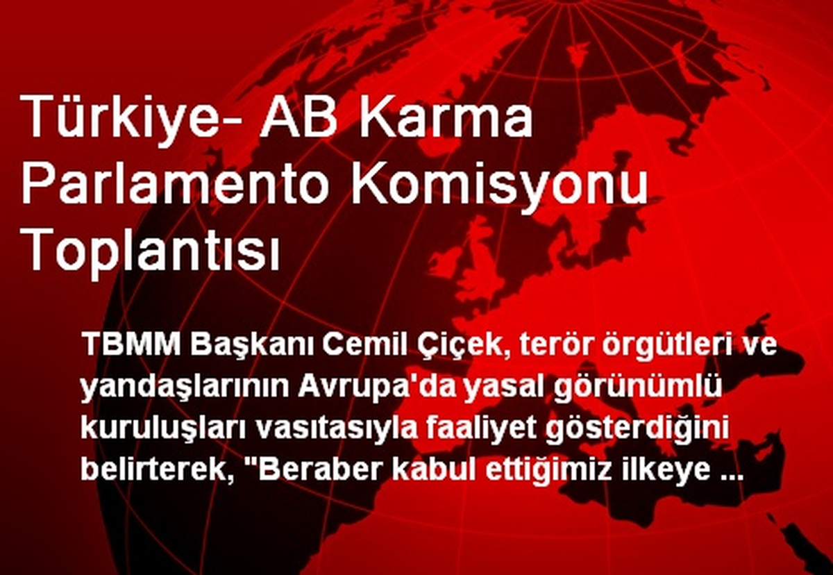 Türkiye- AB Karma Parlamento Komisyonu Toplantısı