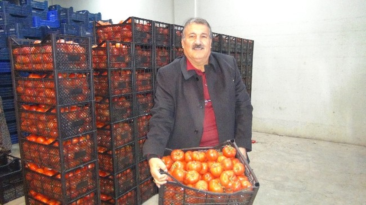 Suriye ve Irak\'a Domates İhracatı Başladı
