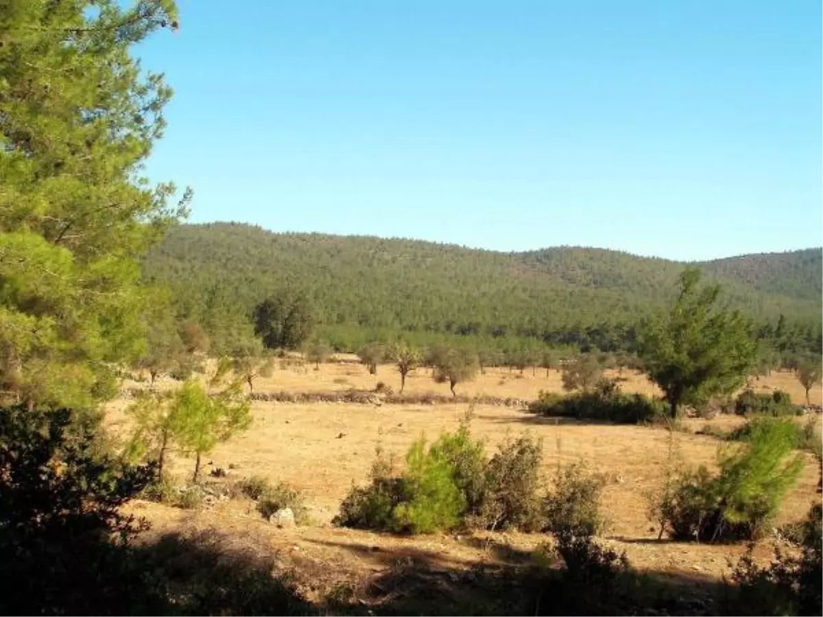 Tartışmalı Golf Sahasının Önünde Engel Kalmadı