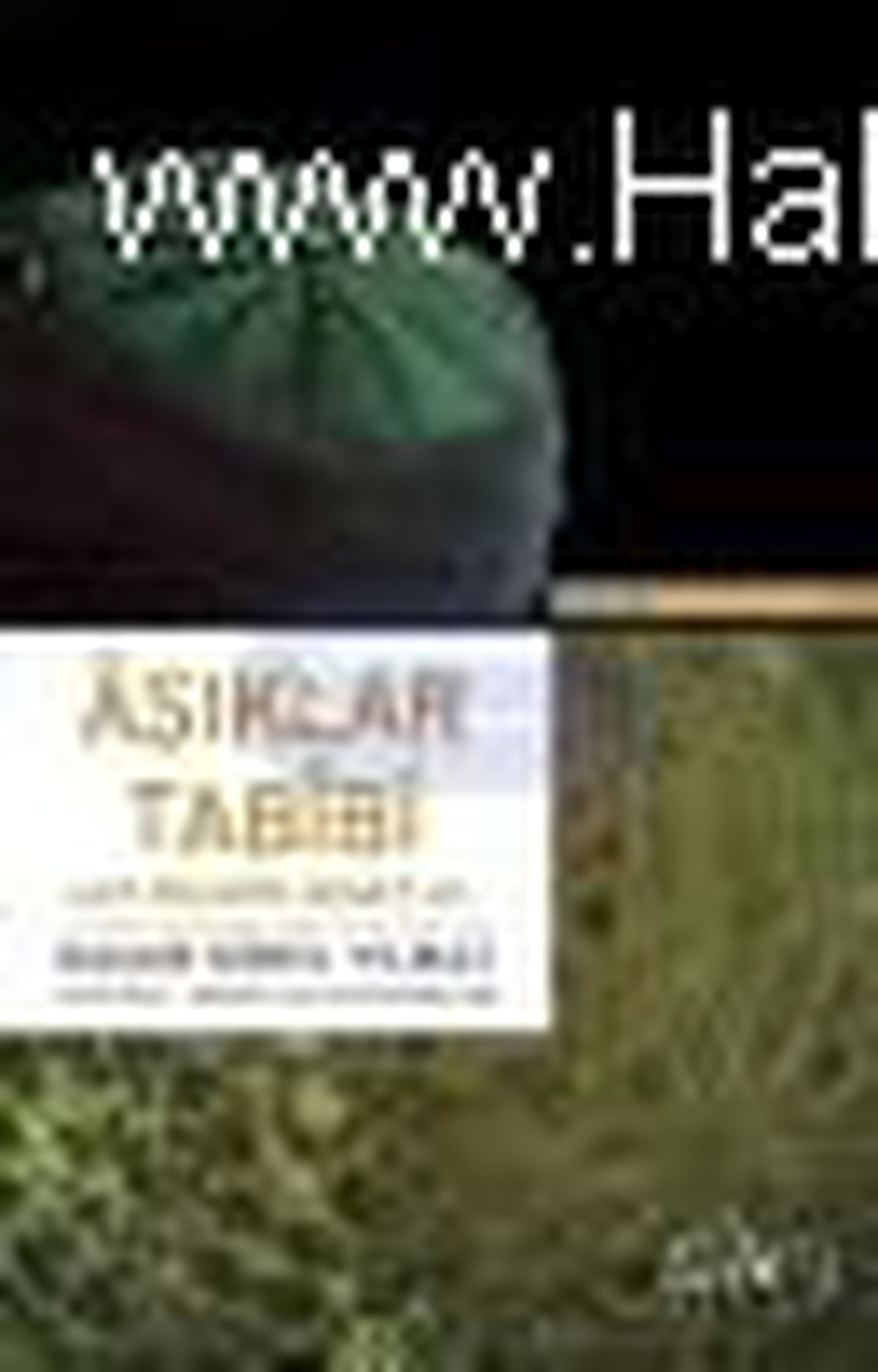 Aşıklar Tabibi Aziz Mahmud Hüdayi Hz. Kitabı