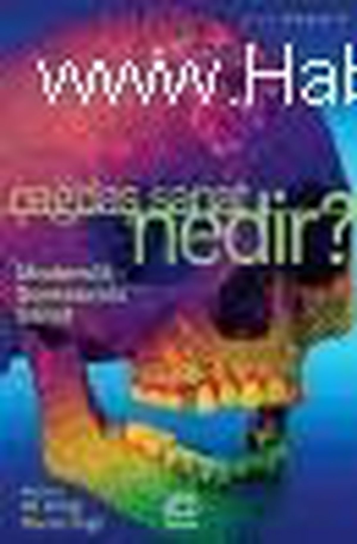 Çağdaş Sanat Nedir? Kitabı