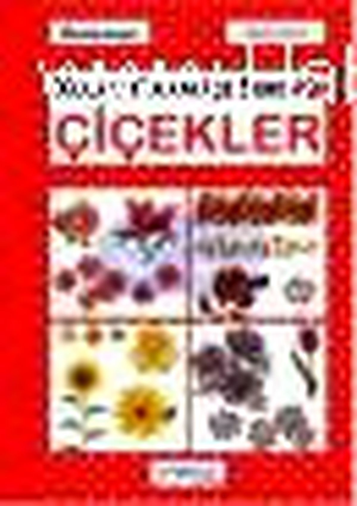 Çiçekler - Kolay Kanaviçe Serisi 1 Kitabı Çıktı