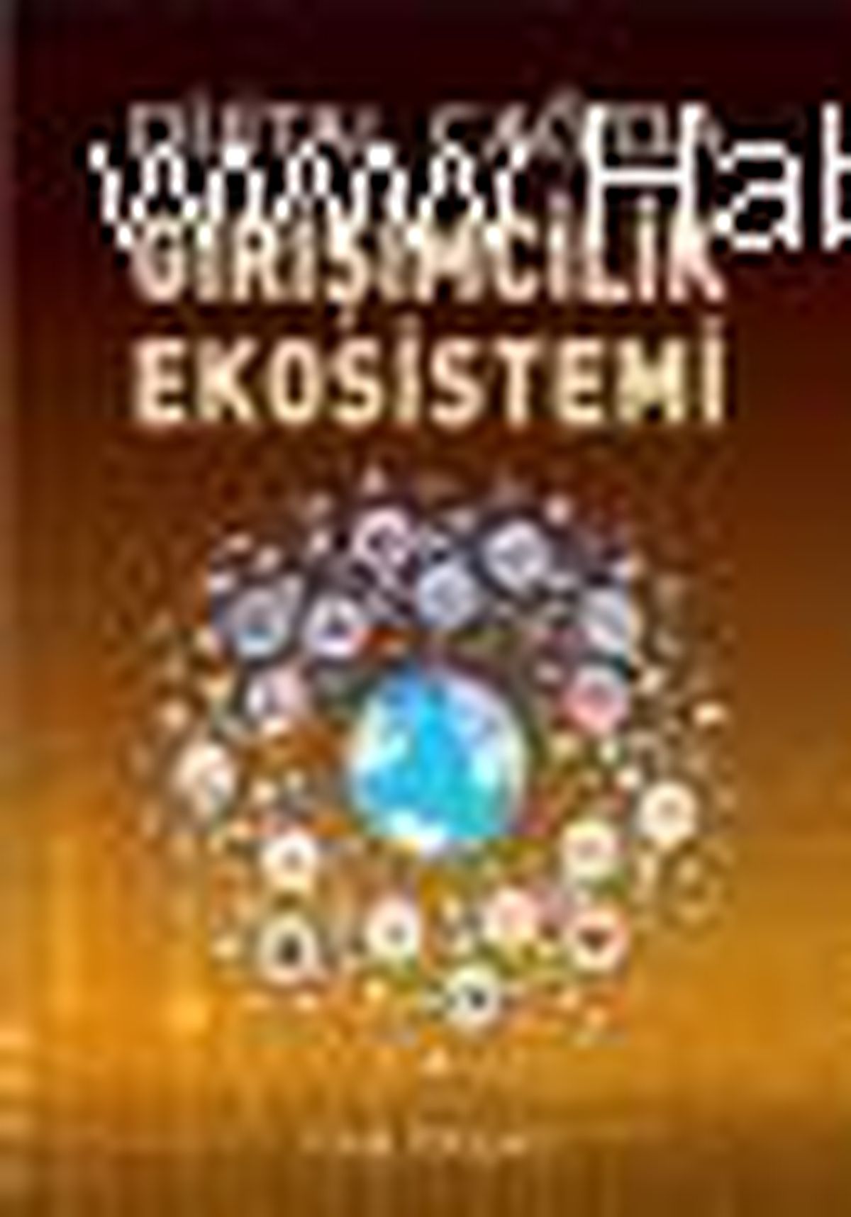 Dijital Çağ\'da Girişimcilik Ekosistemi Kitabı