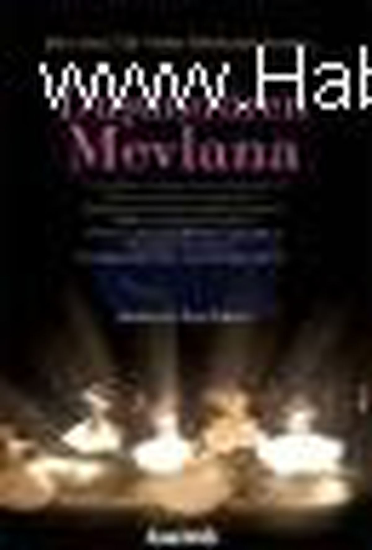 Düşündüren Mevlana Kitabı