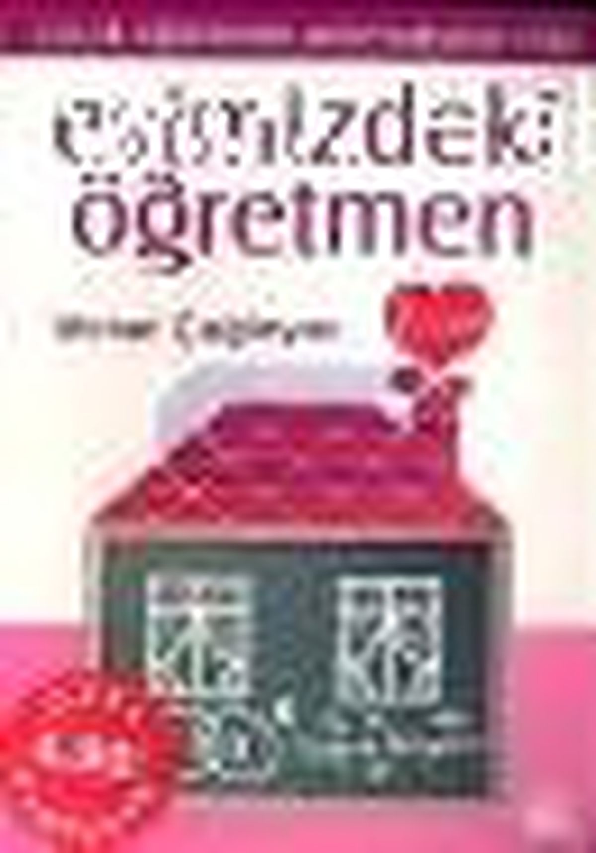 Evimizdeki Öğretmen 2 Kitabı