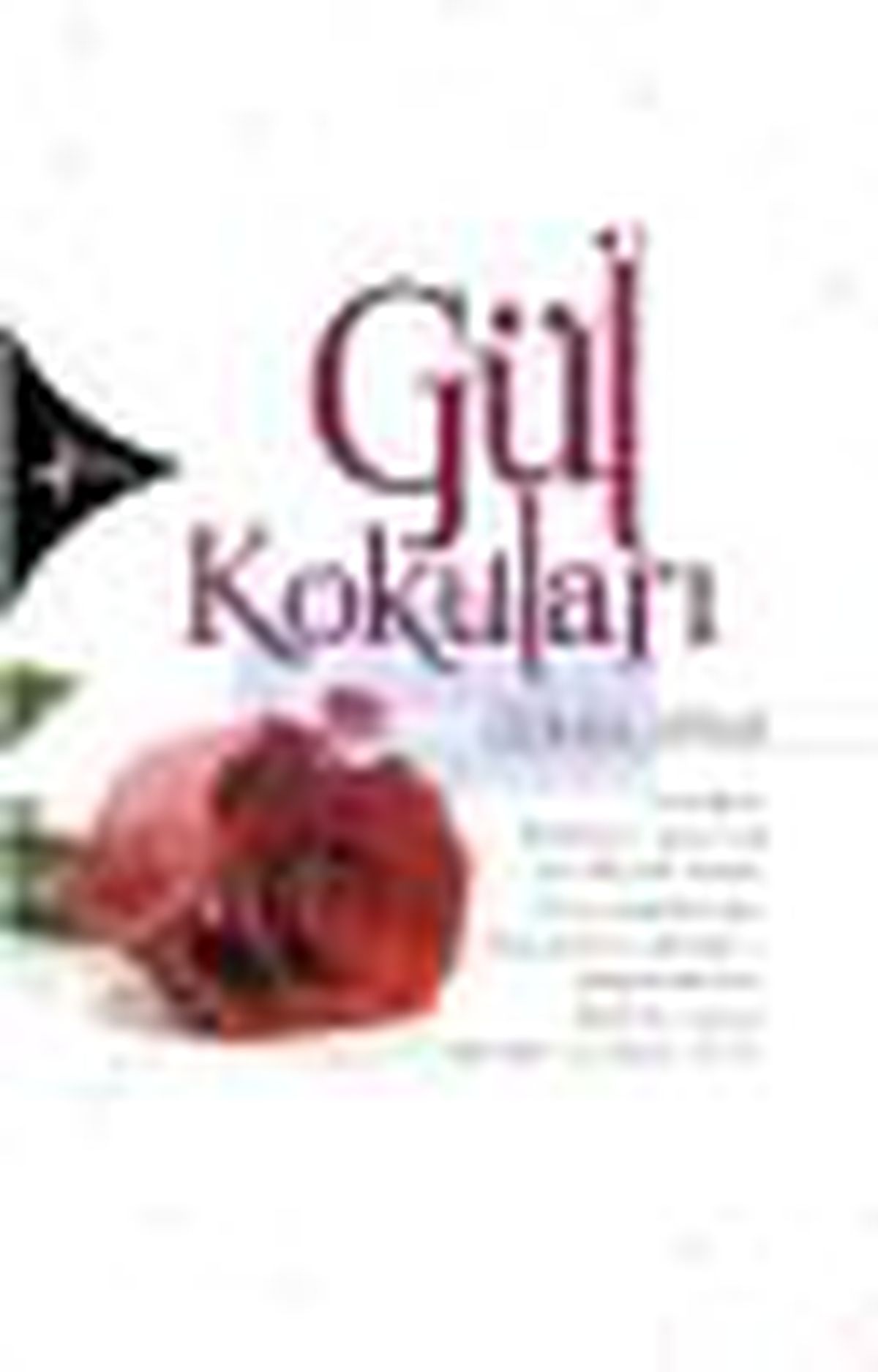 Gül Kokuları Kitabı