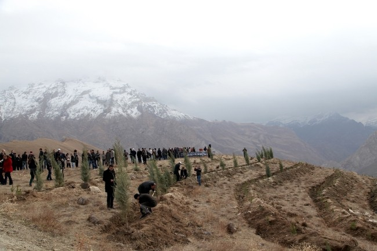 Hakkari\'de Binlerce Fidan Toprakla Buluştu