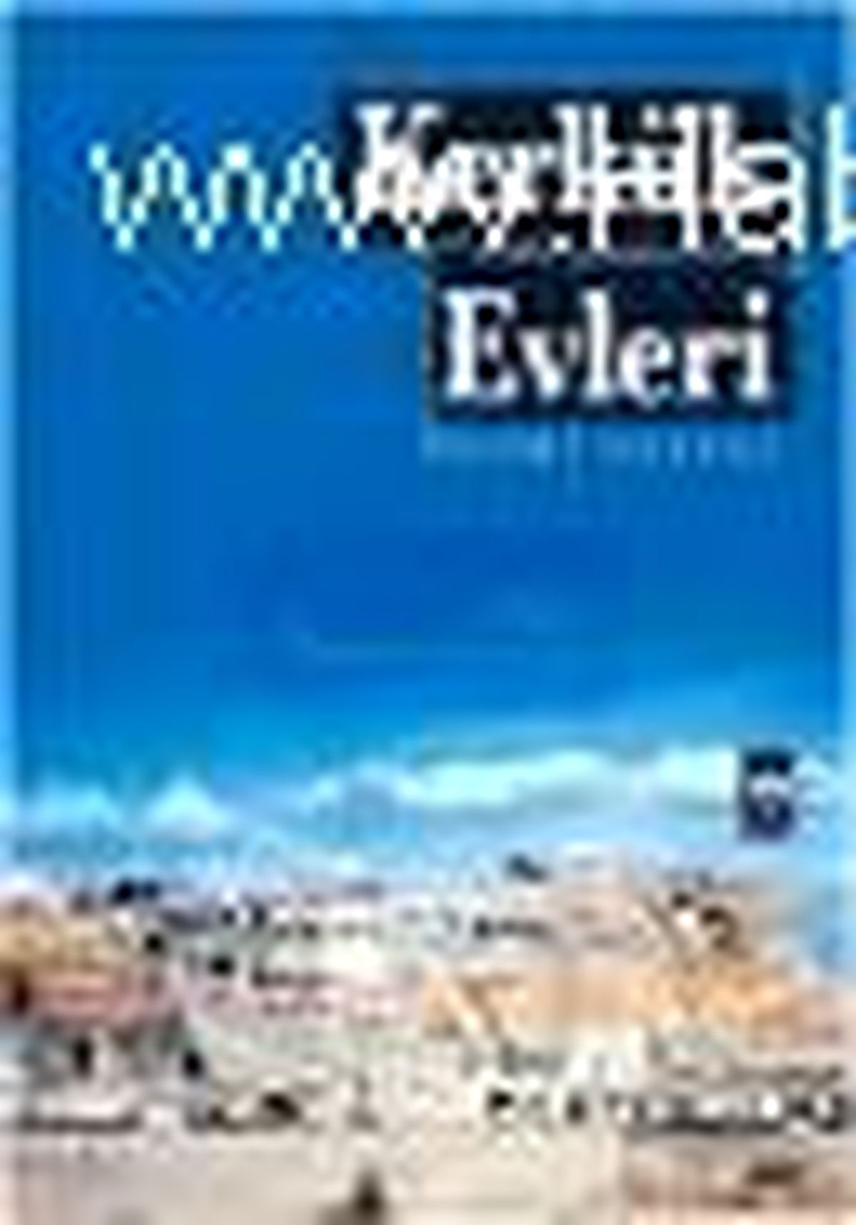 Kerkük Evleri Kitabı