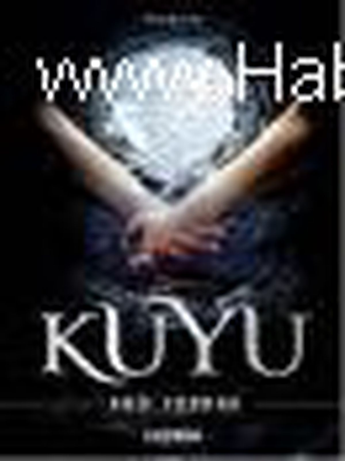 Kuyu Kitabı