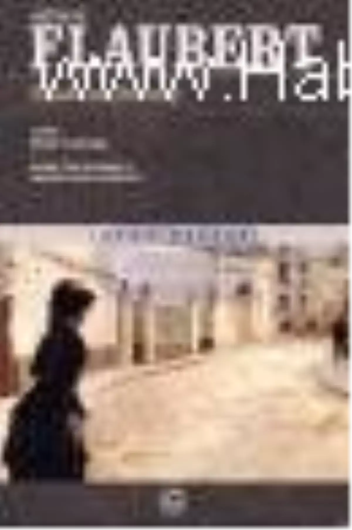 Madam Bovary Kitabı