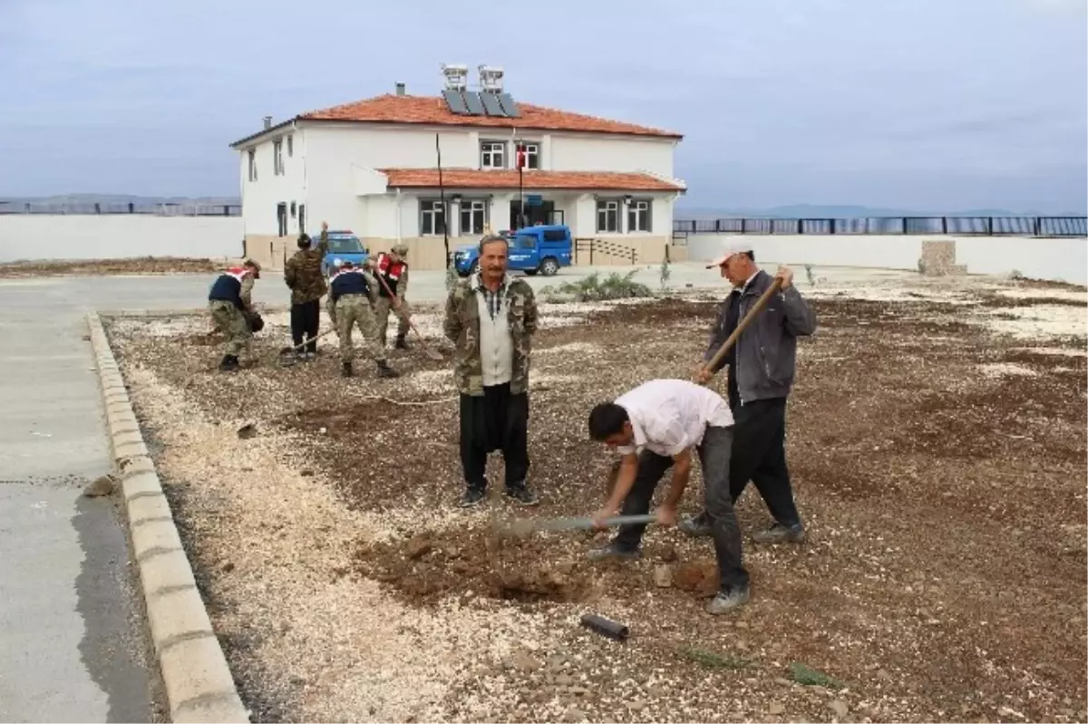 Yavuzeli\'de Jandarma, Köy Okuluna Fidan Dikti