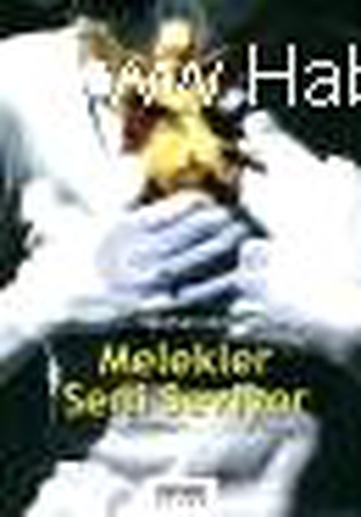 Melekler Seni Seviyor Kitabı