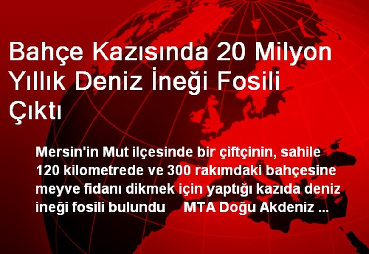 Bahçe Kazısında 20 Milyon Yıllık Deniz İneği Fosili Çıktı