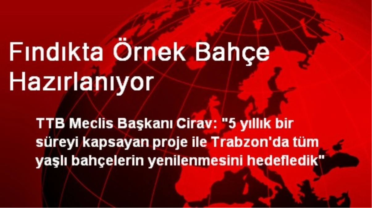 Fındıkta Örnek Bahçe Hazırlanıyor