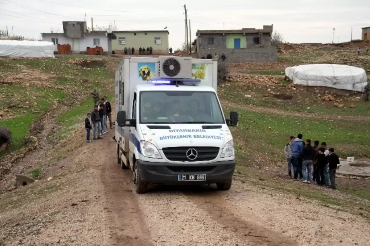 (Özel Haber) Yaralı Köpeği Kurtarmak İçin Jandarma ve Belediye Seferber Oldu