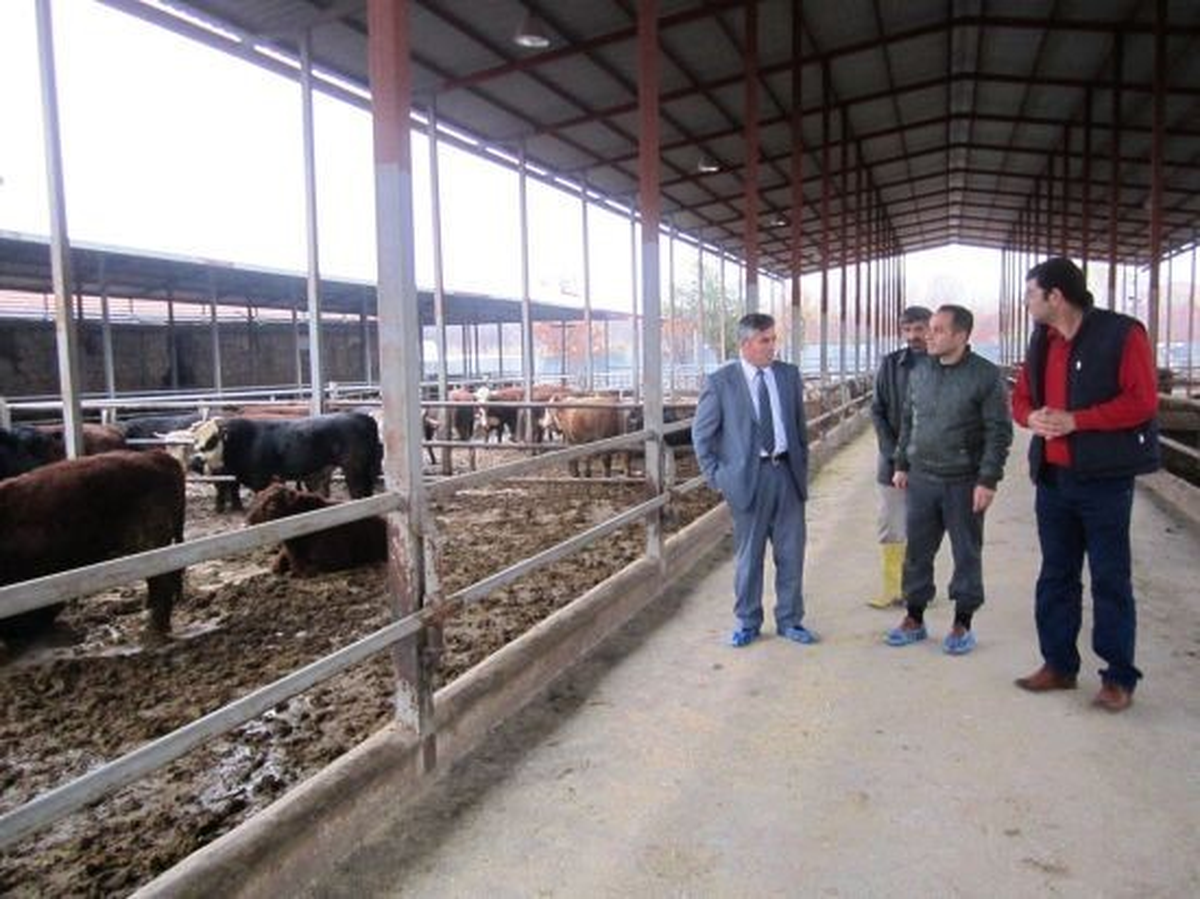 Selvi: "Küçük İşletmeler Birleşerek Büyük İşletmeler Kurmalı"