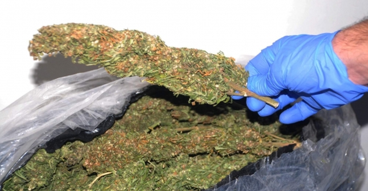 Tunceli\'de 322 Gram Esrar Ele Geçirildi