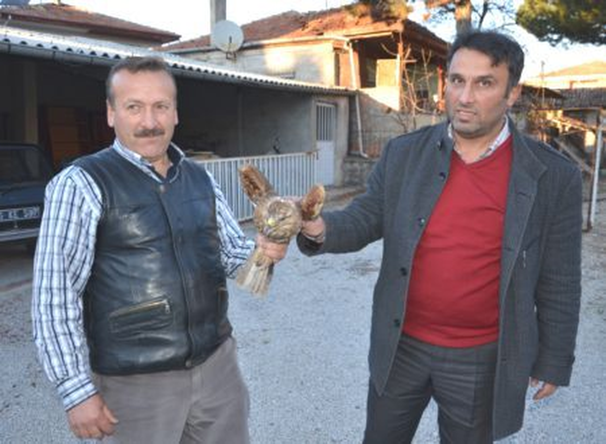 Yaralı Şahine Polis Şefkati