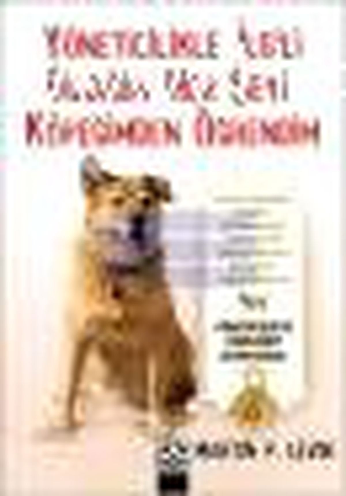 Yöneticilikle İlgili Bildiğim Her Şeyi Köpeğimden Öğrendim Kitabı