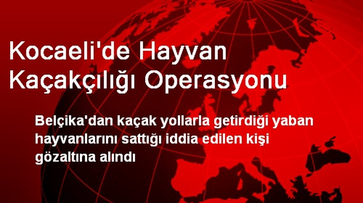 Kocaeli\'de Hayvan Kaçakçılığı Operasyonu
