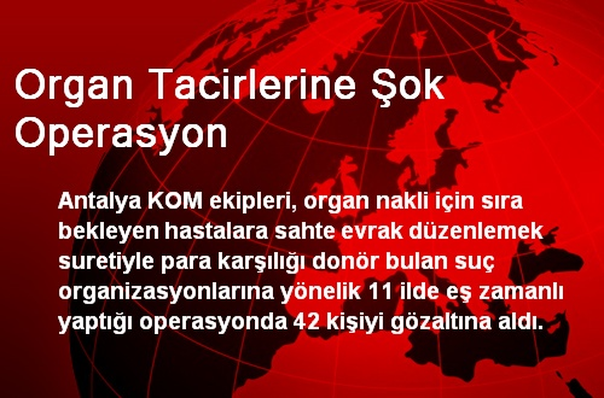 Organ Tacirlerine Şok Operasyon