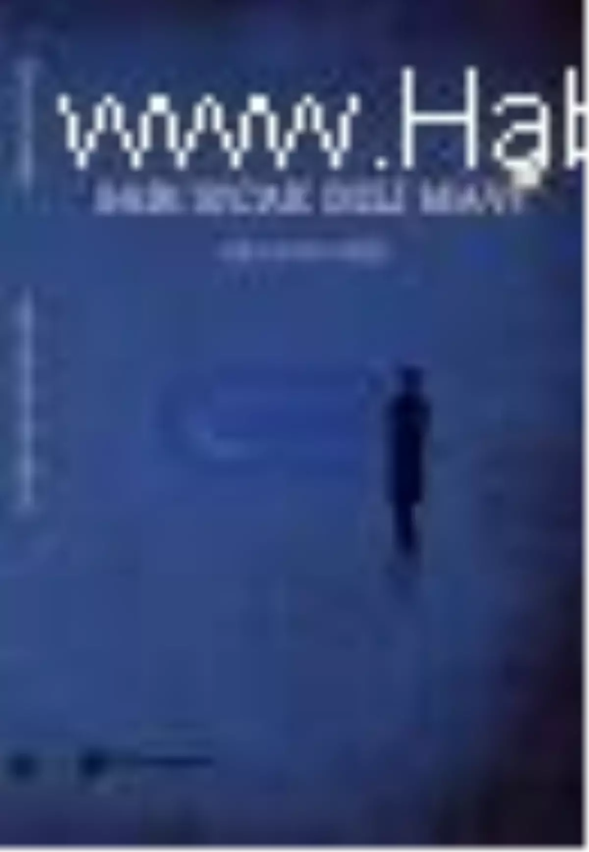 Sarı Sıcak Deli Mavi Kitabı