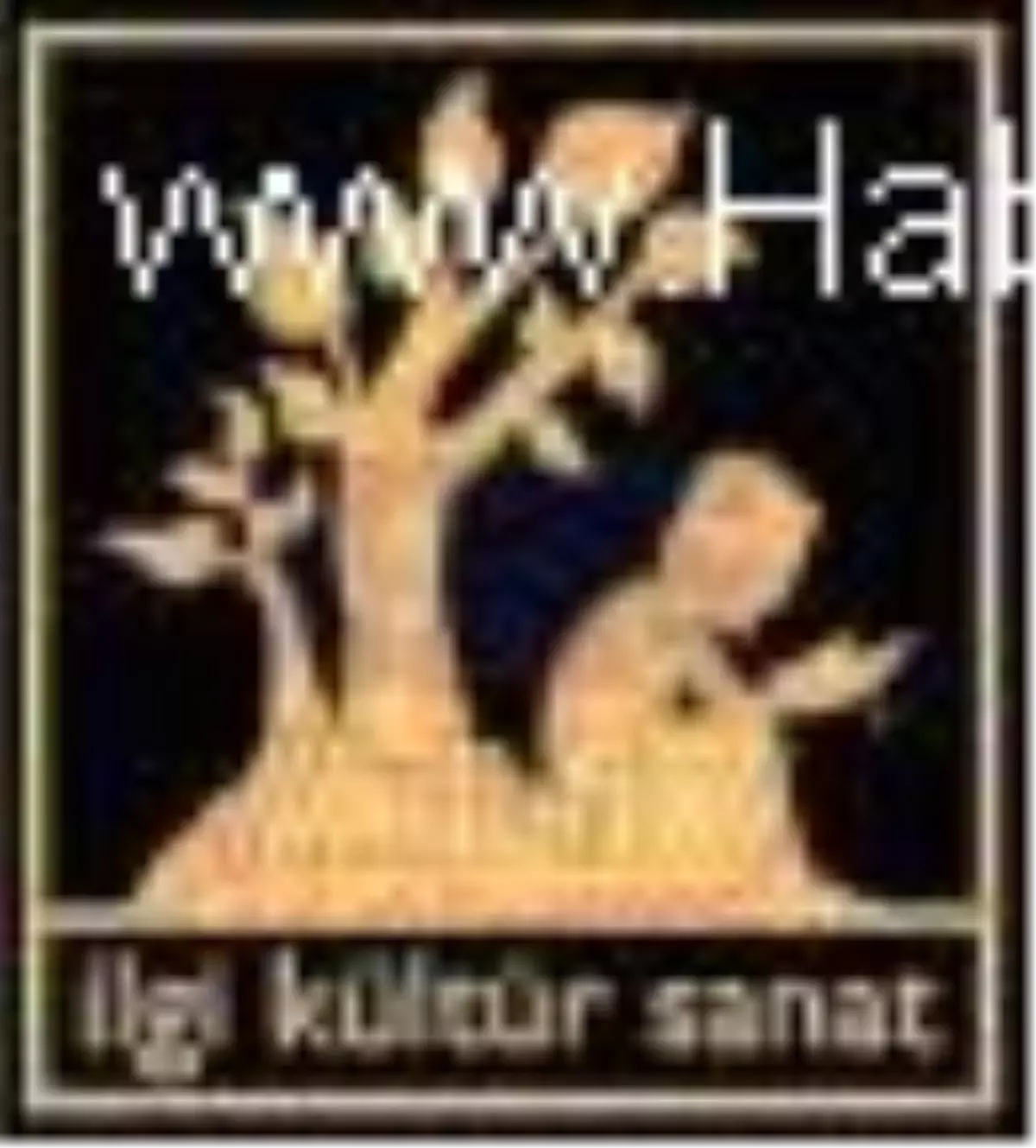 Siyaset Strateji - İnceleme Araştırma Seti (15 Kitap Takım) Kitabı