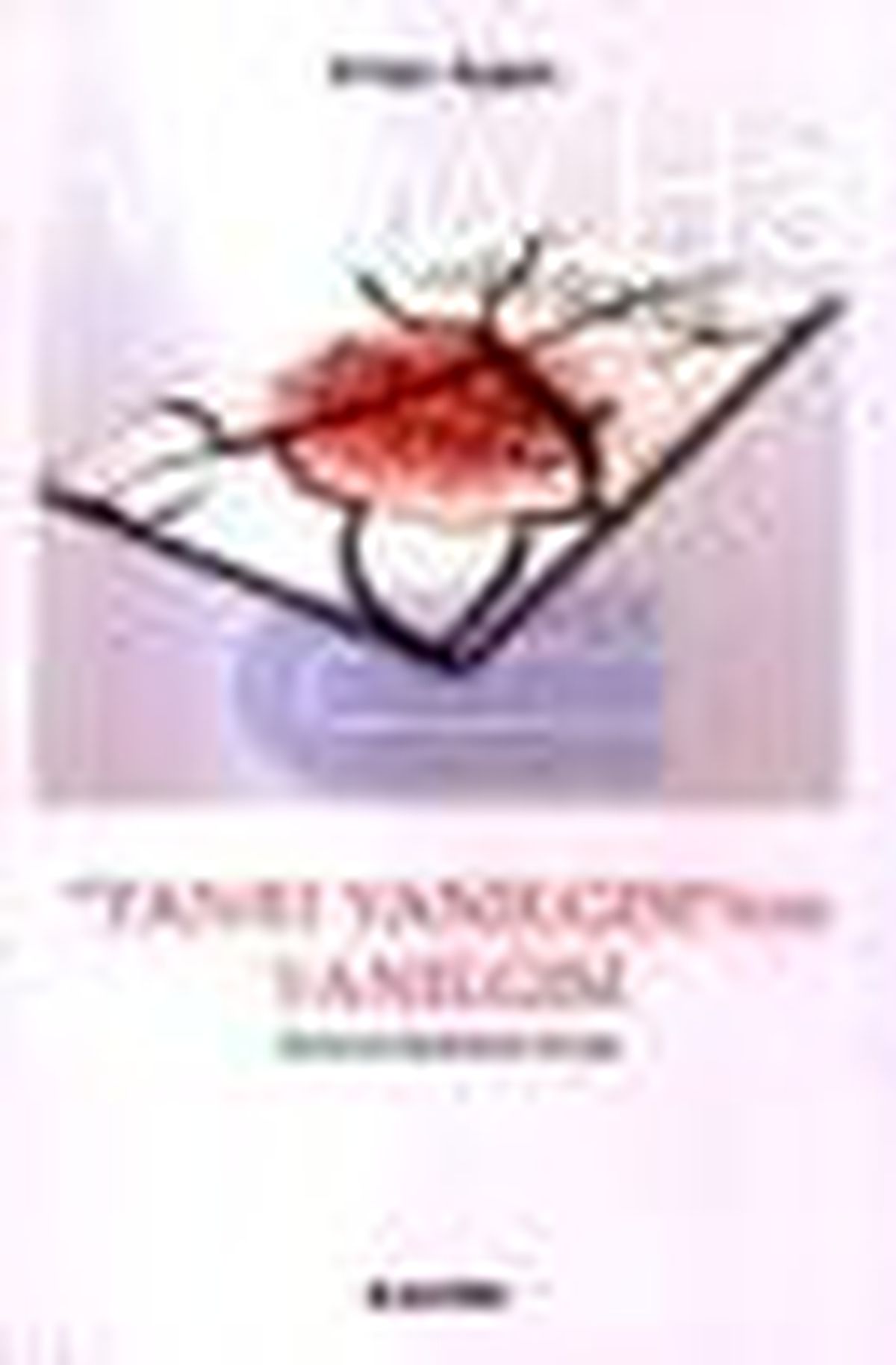 Tanrı Yanılgısı\'nın Yanılgısı Kitabı