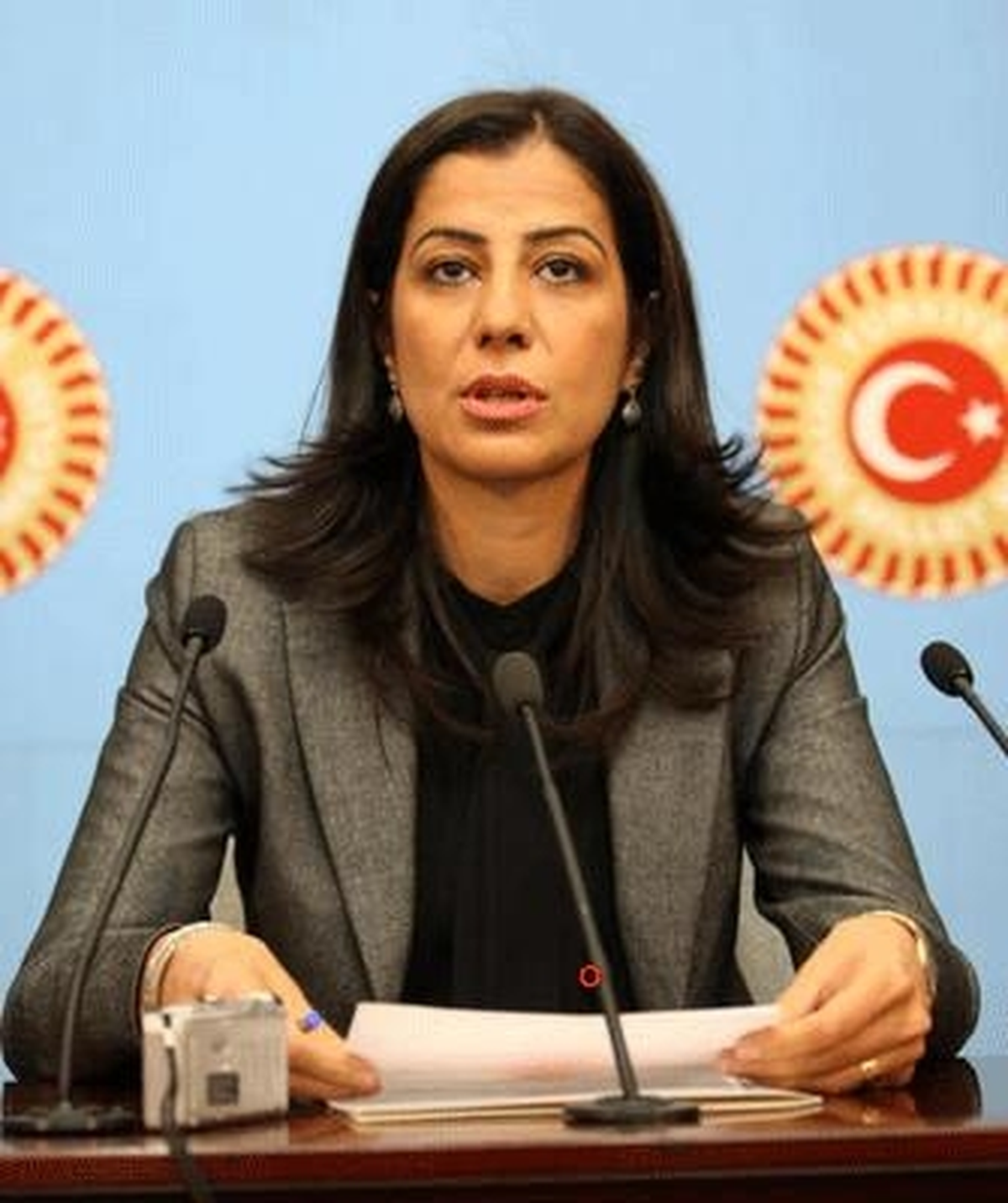 Akat, İşkence İddialarını Bakan Ergin\'e Sordu