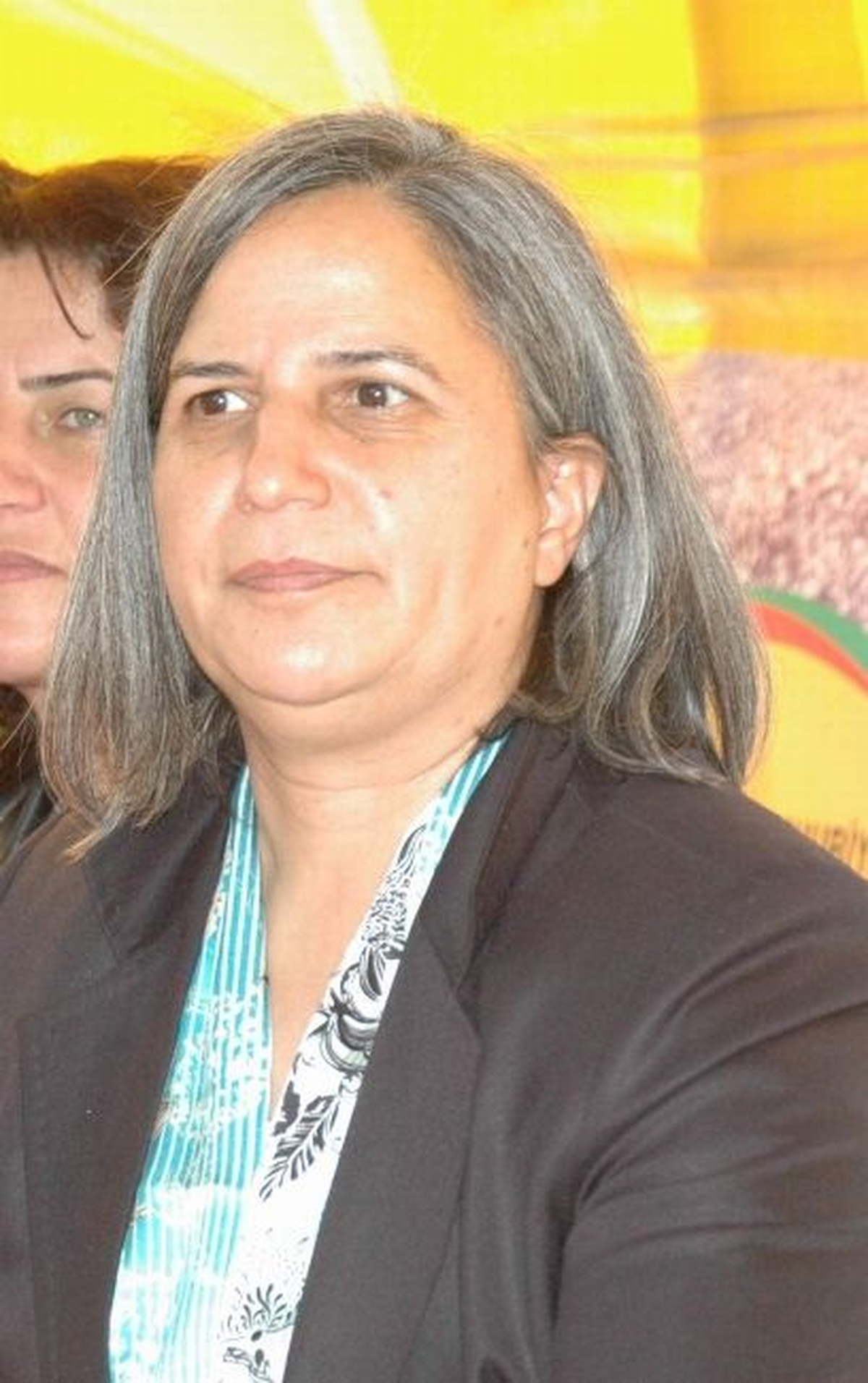BDP Genel Başkan Yardımcısı Kışanak