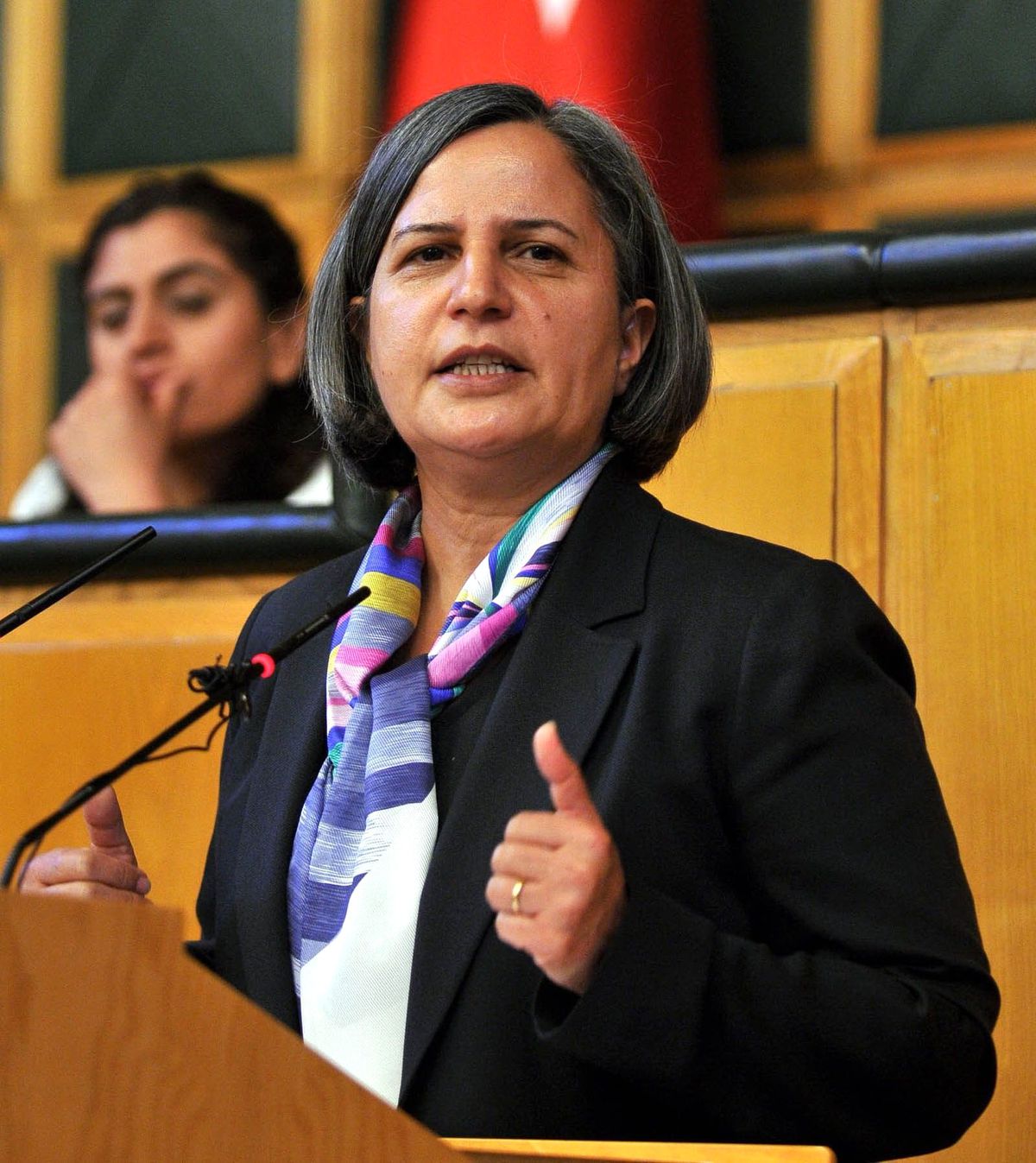 BDP Genel Başkan Yardımcısı Kışanak Açıklaması