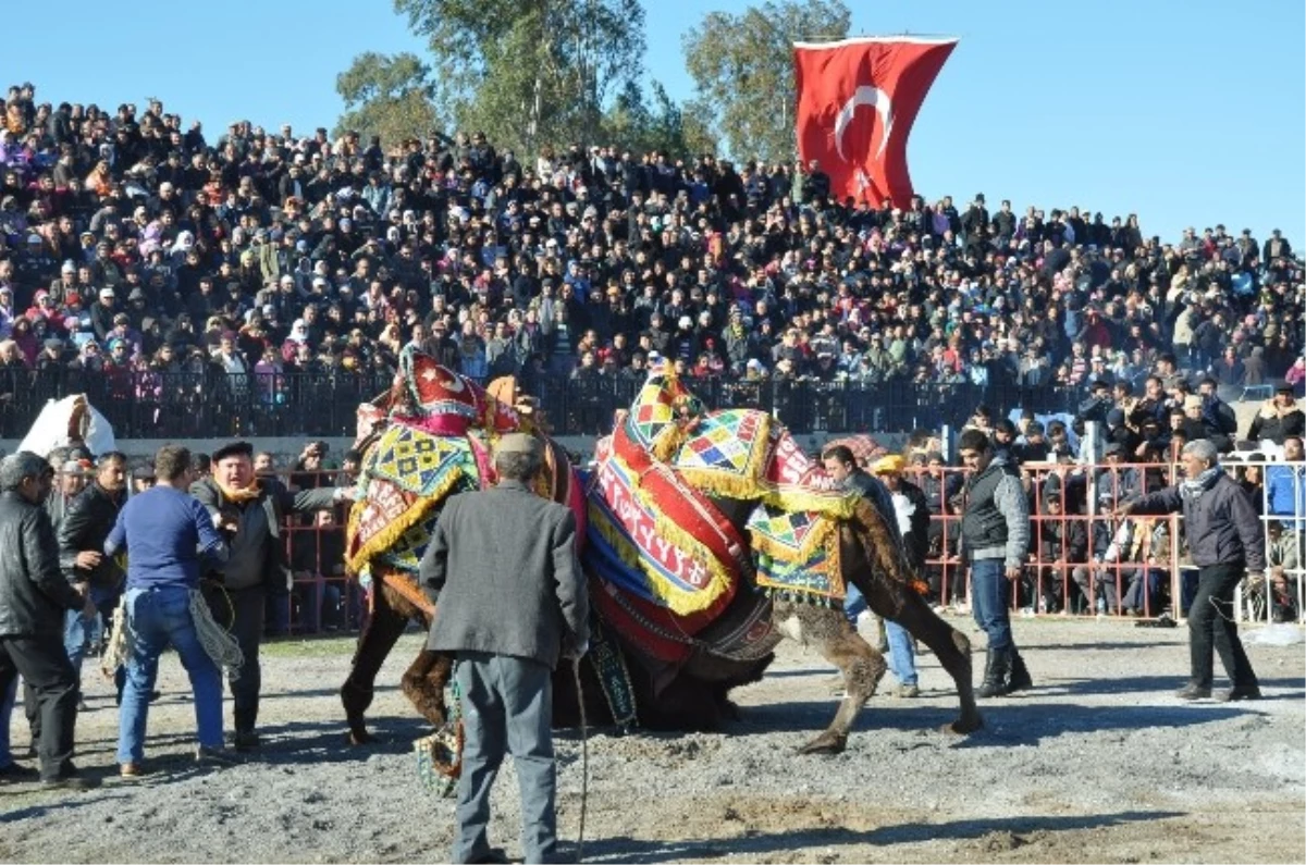 Develer Spor Yararına Güreşti