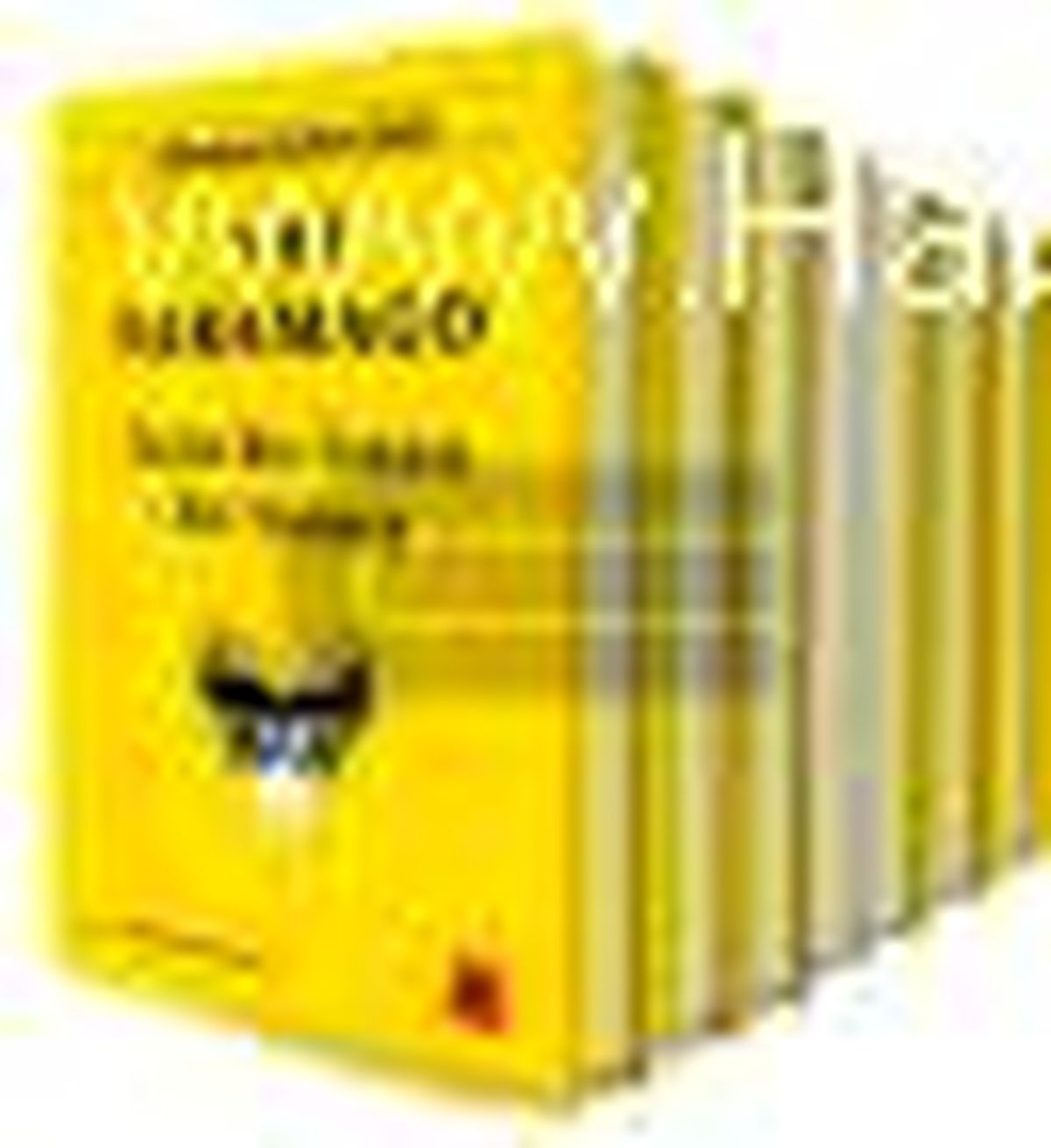 Jose Saramago Seti (8 Kitap Takım) Kitabı
