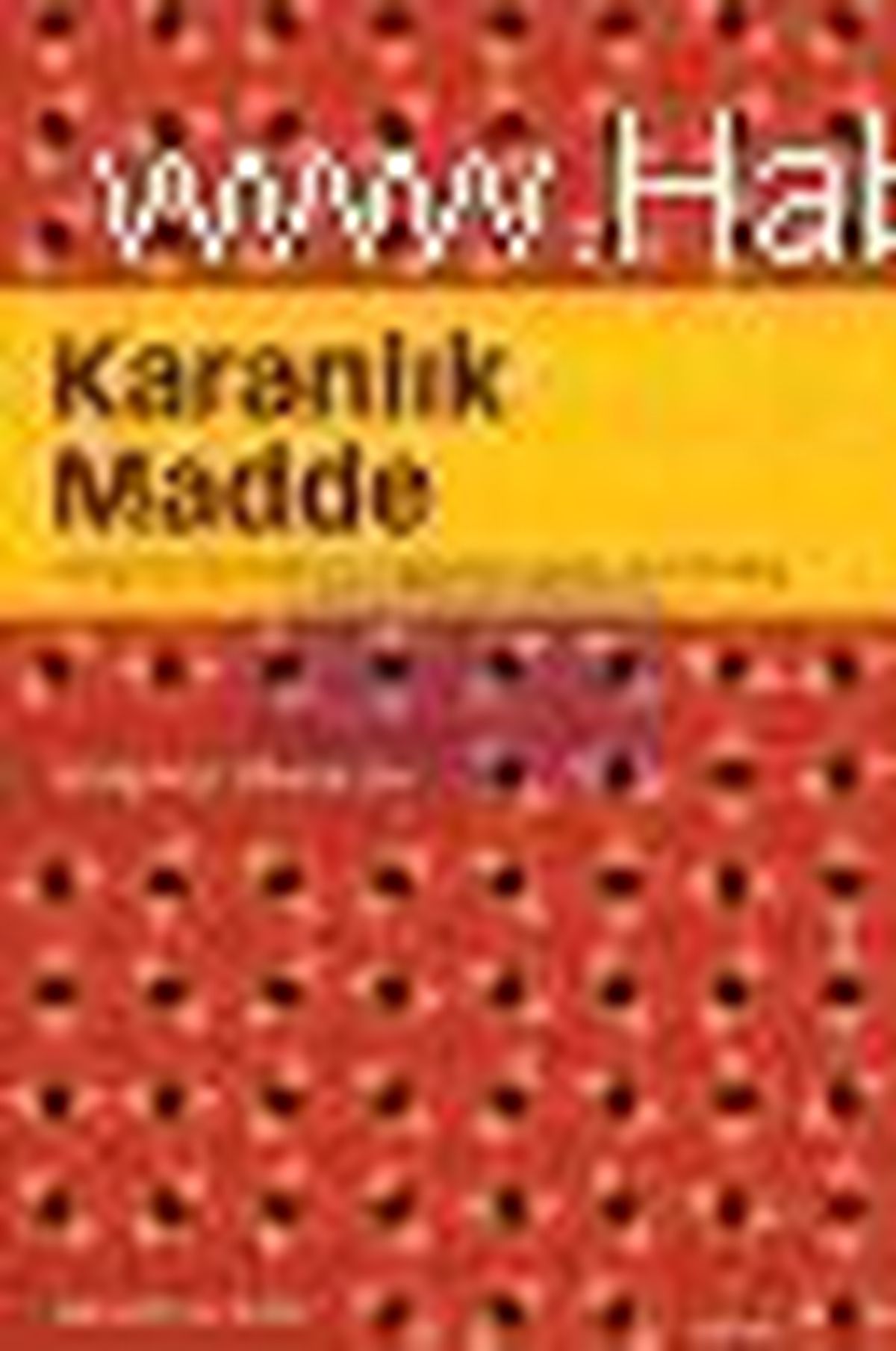Karanlık Madde Kitabı