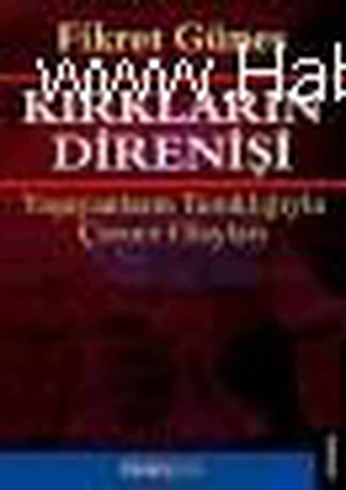 Kırkların Direnişi Kitabı