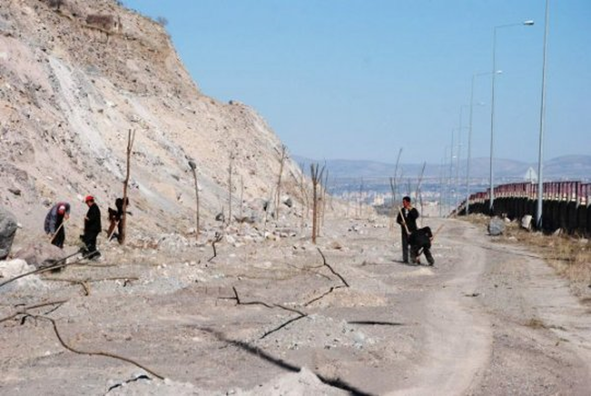 Melikgazi Belediyesinden Ağaçlandırma Çalışması