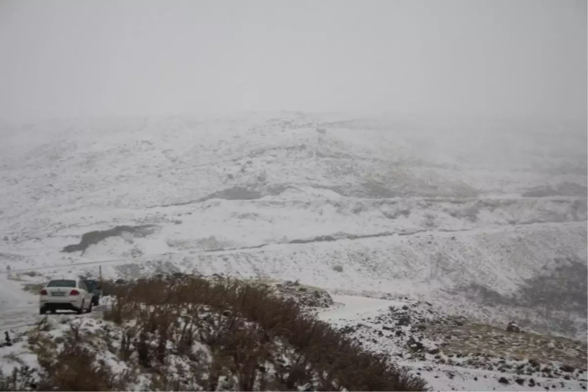 Muş'ta Kar Yağışı