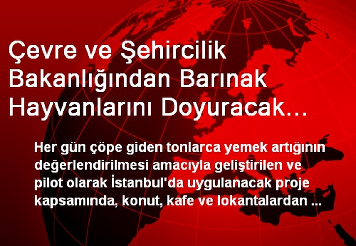 Çevre ve Şehircilik Bakanlığından Barınak Hayvanlarını Doyuracak Proje