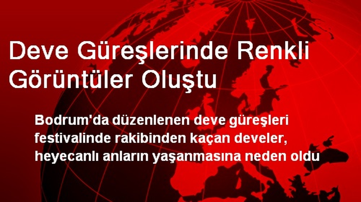 Deve Güreşlerinde Renkli Görüntüler Oluştu