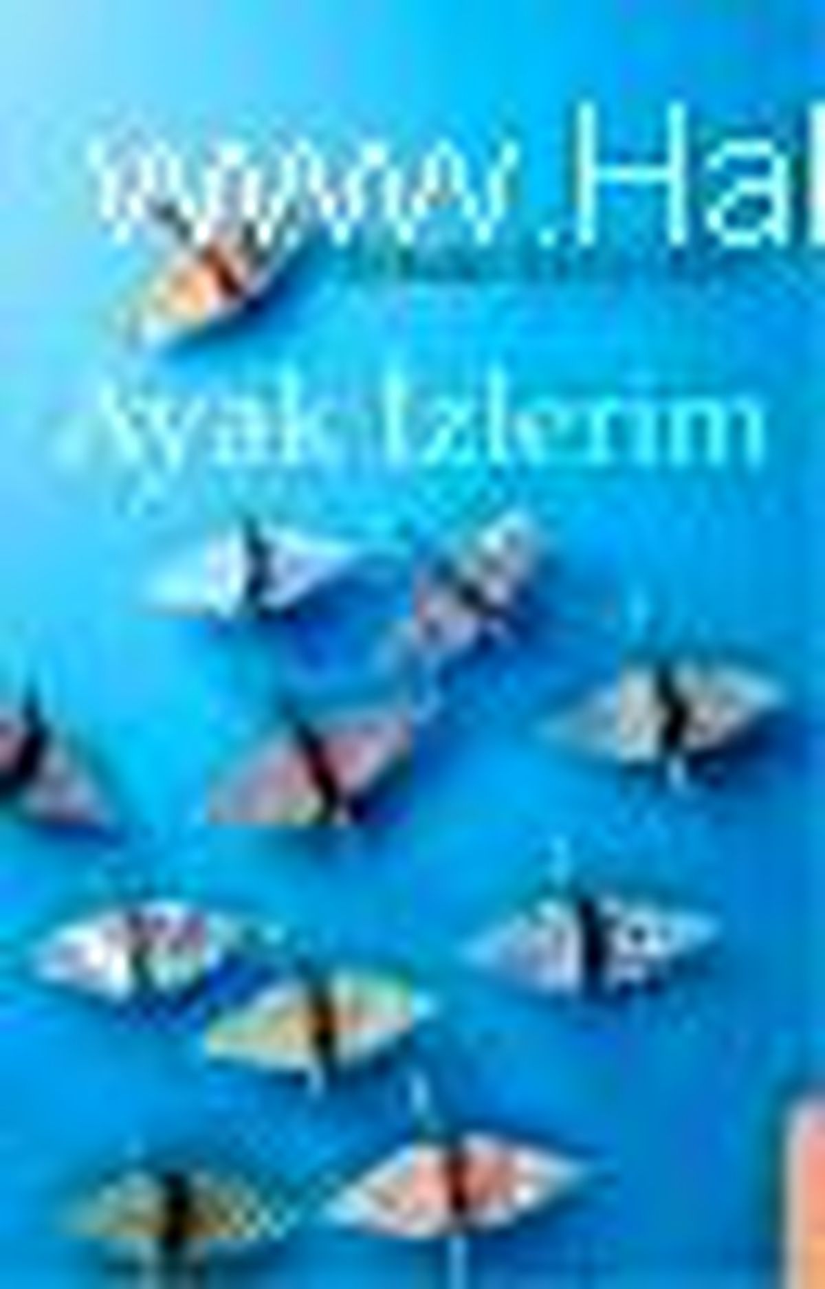 Ayak İzlerim Kitabı