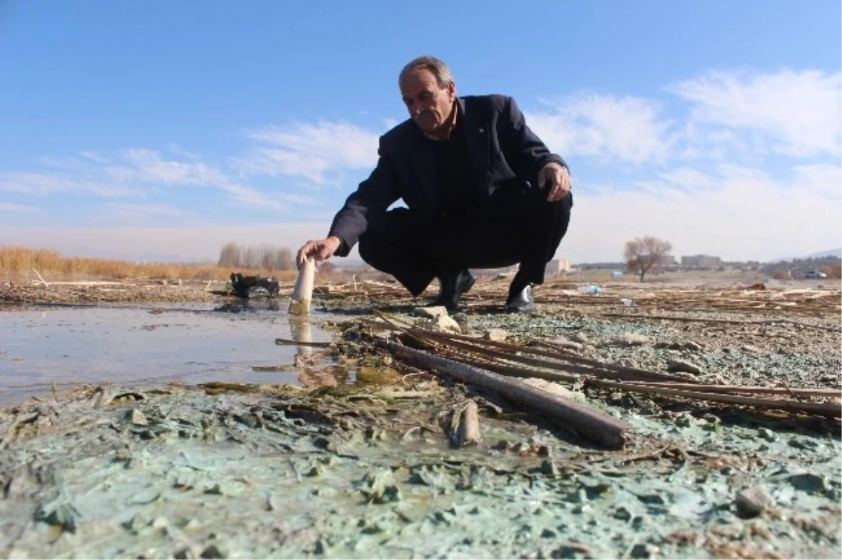 Beyşehir Gölü Kıyılarındaki Kirlilik Ürkütüyor