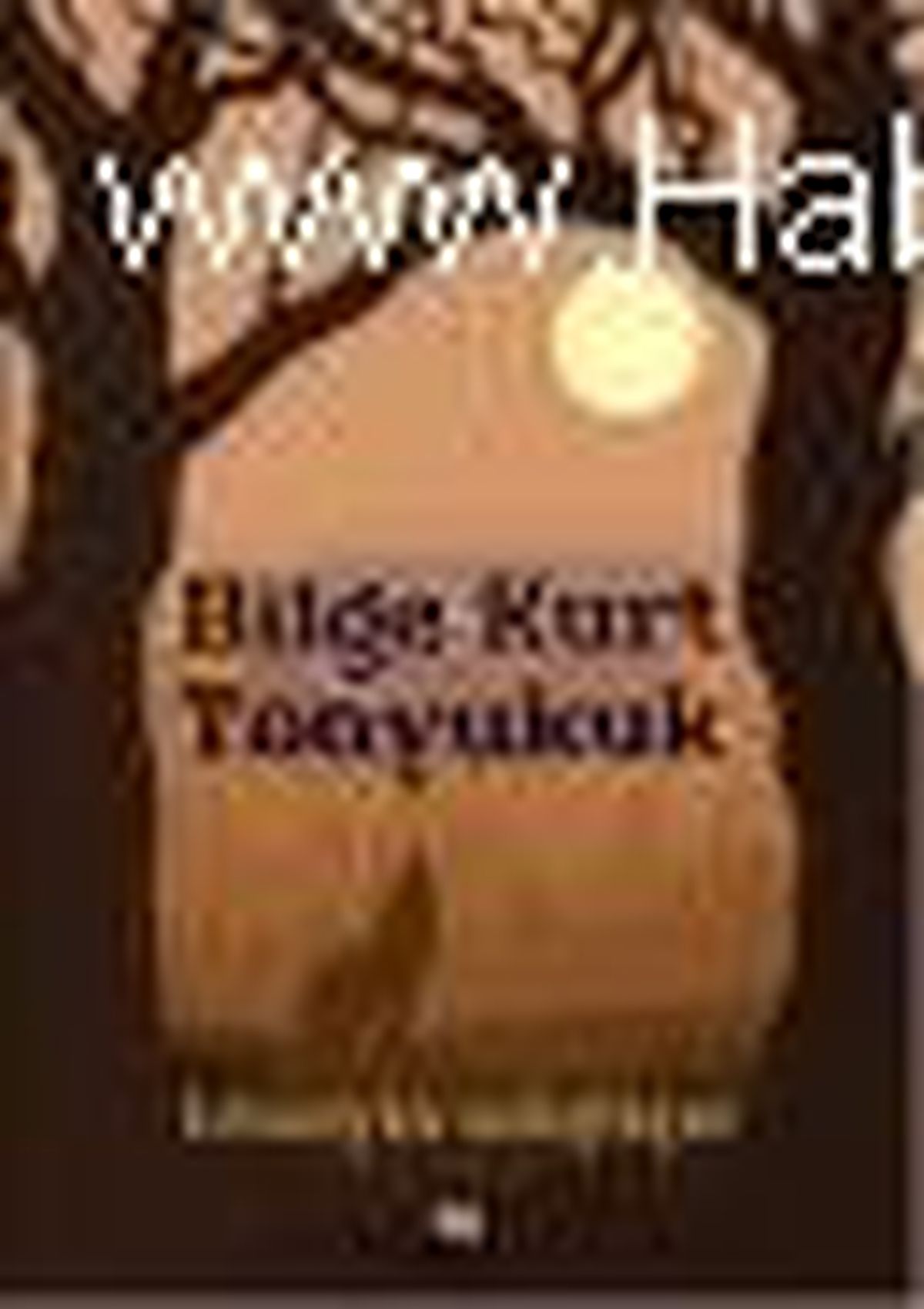 Bilge Kurt Tonyukuk Kitabı Raflarda