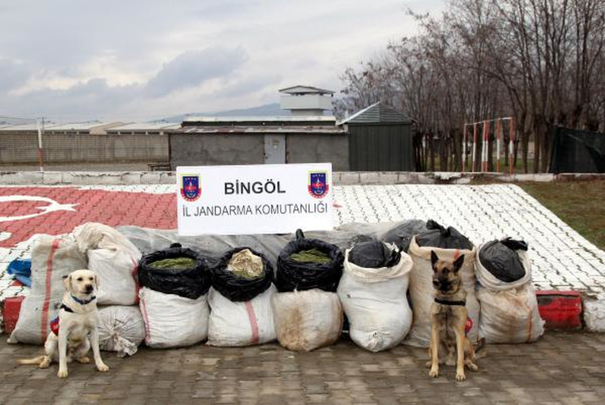 Bingöl\'de 239 Kilo Esrar Ele Geçirildi