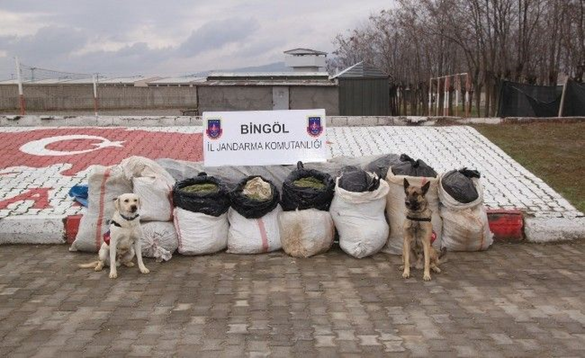 Bingöl\'de Uyuşturucu Operasyonu