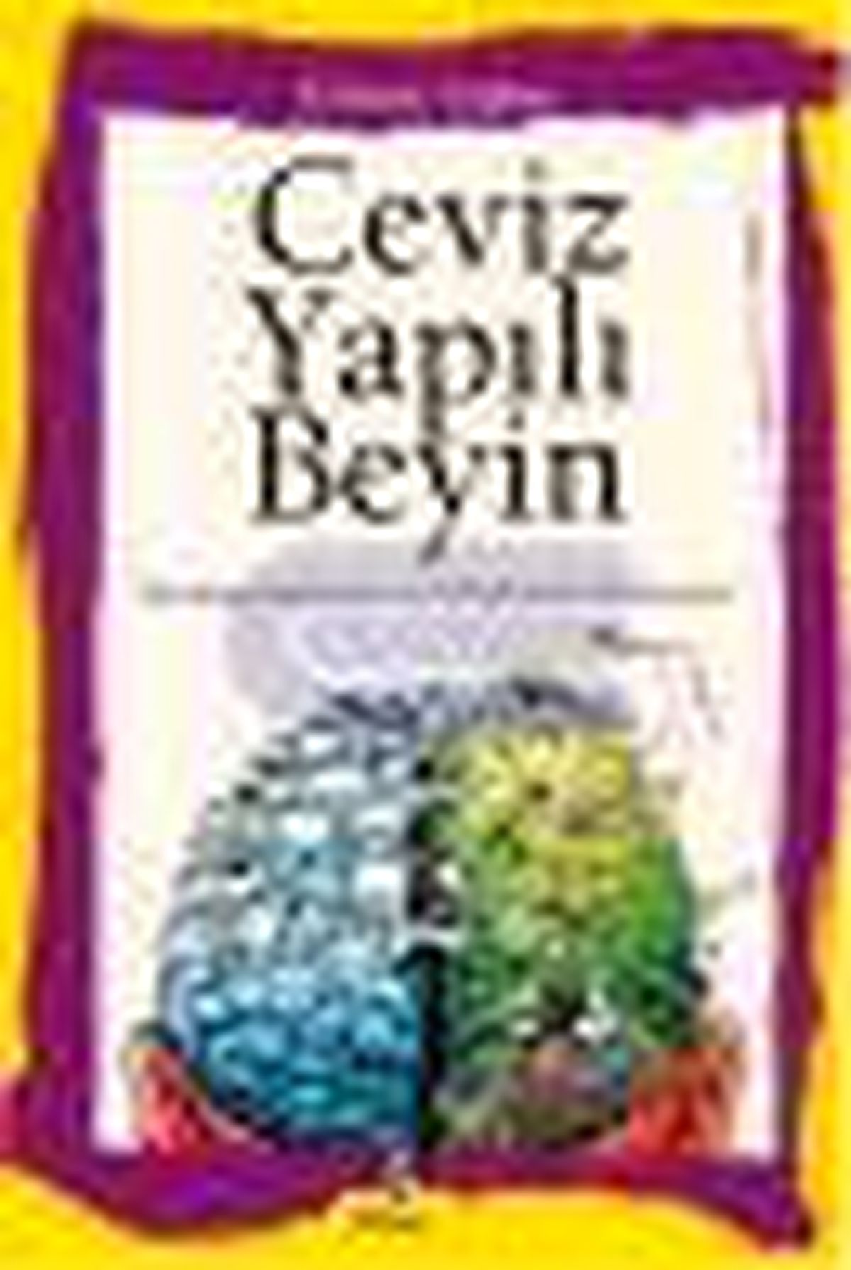 Ceviz Yapılı Beyin Kitabı